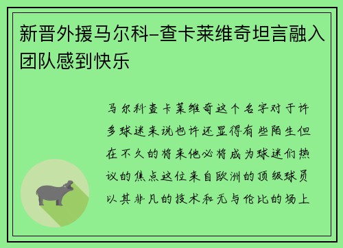 新晋外援马尔科-查卡莱维奇坦言融入团队感到快乐